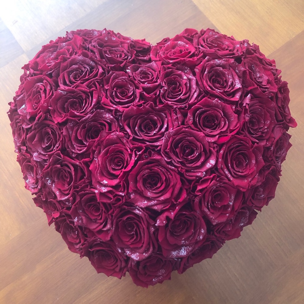 NWOT Real Preserved Red Roses Silver Heart Dome Box ❤️